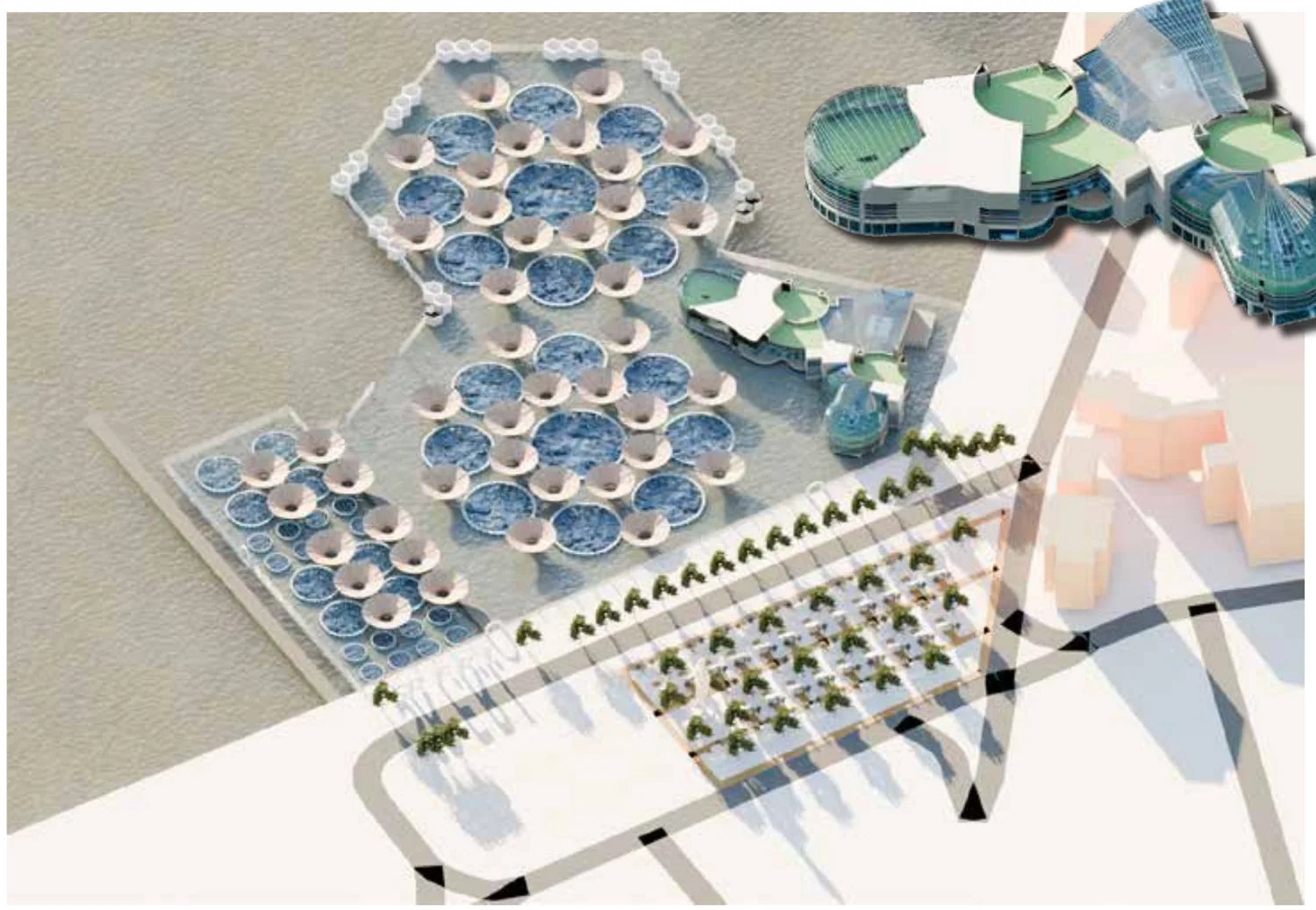 Aerial view of the aquaculture waterfront