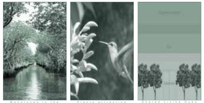 Mangroves in the canals, plants attracting animals, shared living hubs