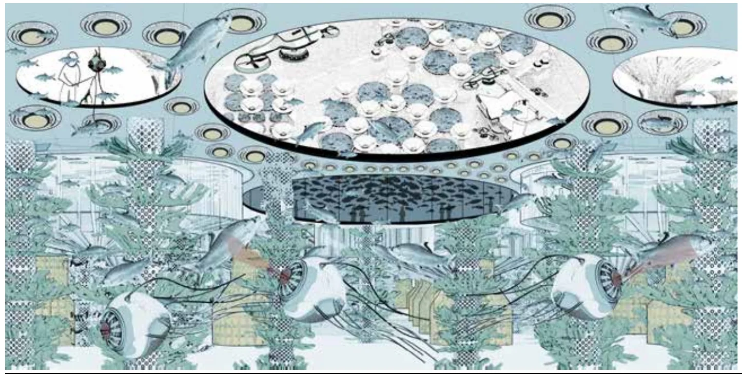 Interior visualisation of the marine habitat